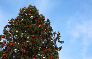 Birçok dekoratif Noel topları ile Noel köknar ağacı