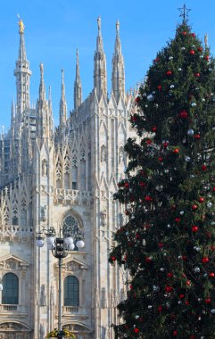 Noel ağacı milan İtalya katedral önünde