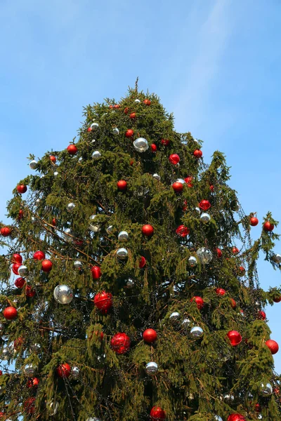 Vánoční strom s vánoční červené a šedé kuličky — Stock fotografie