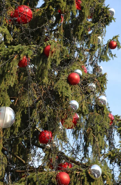Weihnachtsbaum mit vielen Weihnachtskugeln — Stockfoto