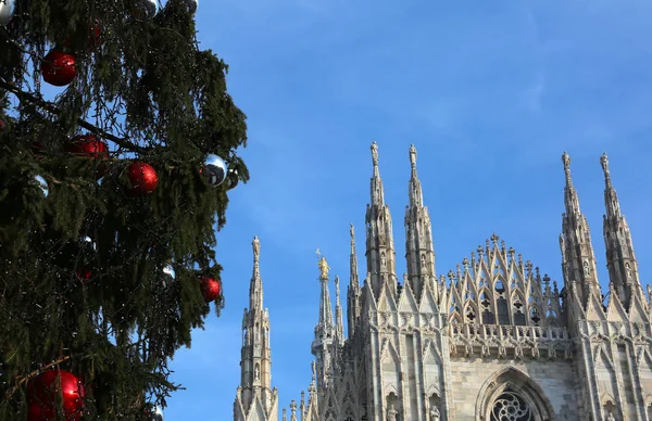 Milanos katedral och den enorma julgranen — Stockfoto