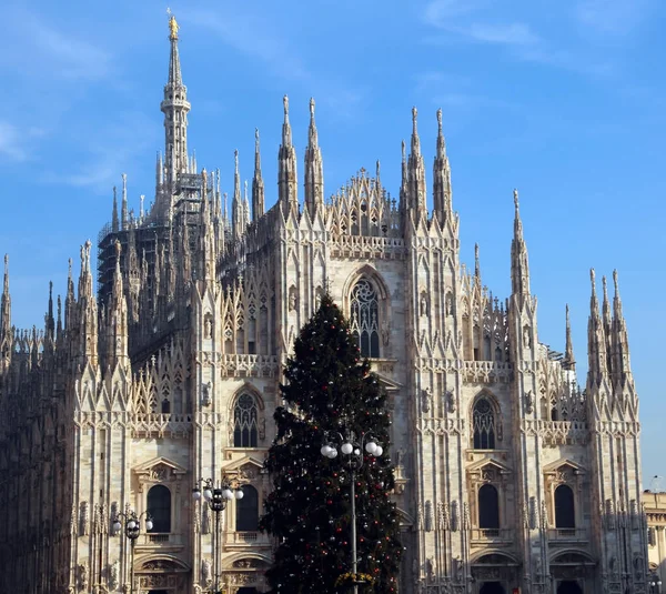 Riesiger Weihnachtsbaum mit roten und silbernen Kugeln vor der sp — Stockfoto