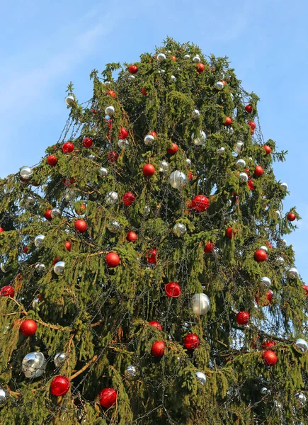 Boules de Noël décoratives à décorer et un grand sapin de Noël — Photo