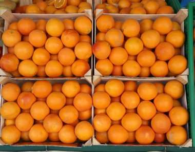 sepet kimyasal olmadan doğal tedaviler ile yetiştirilen portakal