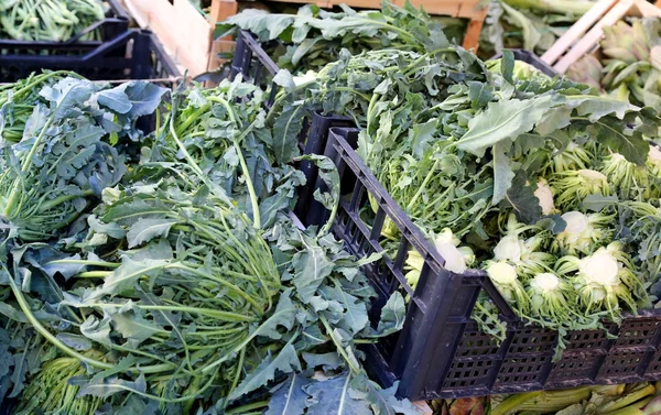 Genuine original green broccoli called BROCCOLO FIOLARO  in Ital — Stock Photo, Image