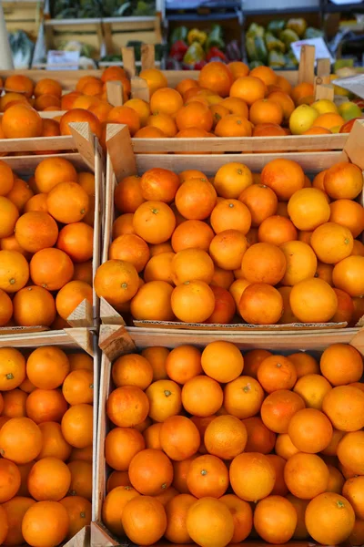 Många apelsiner odlas med naturliga behandlingar utan kemiska lägga — Stockfoto