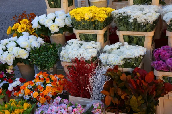 Vaartuigen met bloemen te koop in de markt — Stockfoto