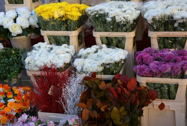 Gemi ile birçok çiçek pazarında Satılık — Stok fotoğraf