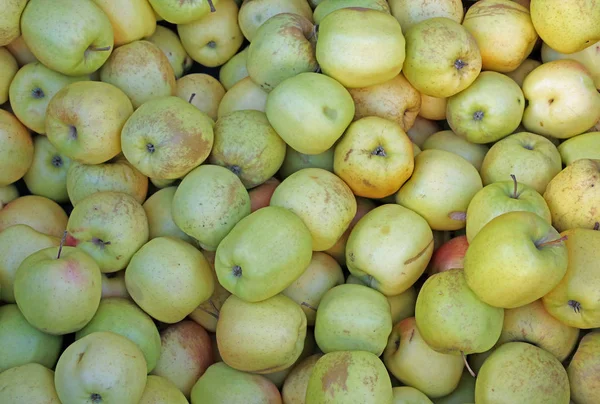 Pommes vertes à vendre chez le marchand de légumes — Photo