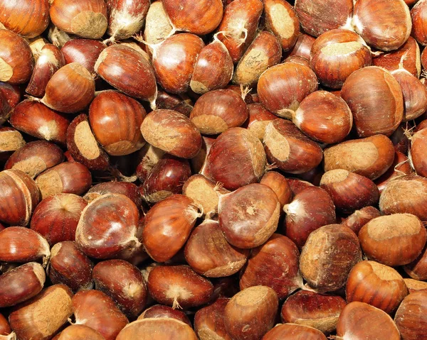 Background of ripe chestnuts in autumn — Stock Photo, Image