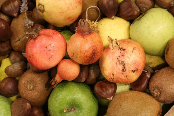 Kiwi kastanjer Granatäpplen äpplen och många höstens frukter — Stockfoto