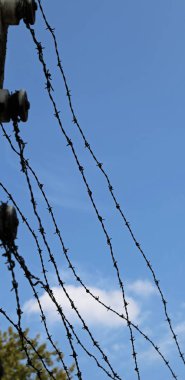 Dikenli tel ve mavi gökyüzü ipliklerini