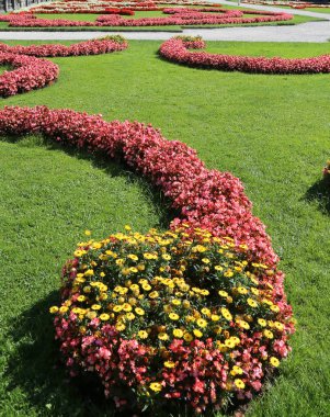 birçok çiçek Yataklı bir Avrupa şehri Park Bahçe