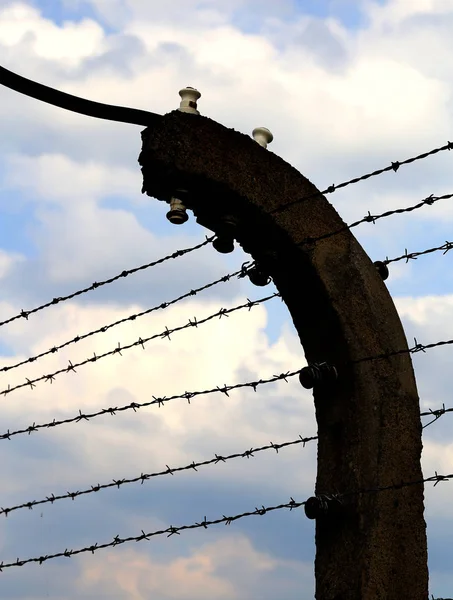 Taggtråd att avgränsa fånglägret — Stockfoto