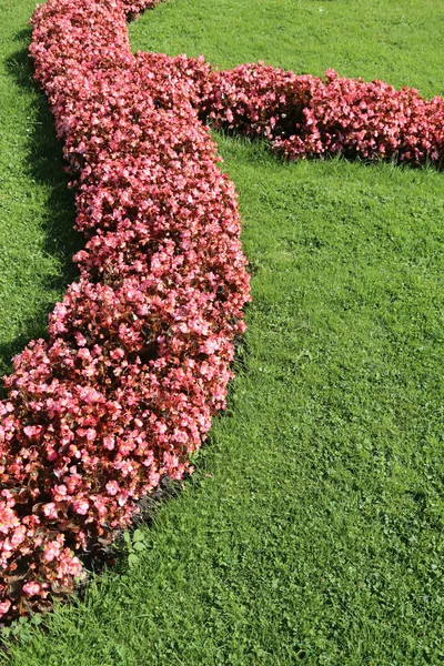 Hermosos macizos de flores y bien atendido por el jardinero — Foto de Stock