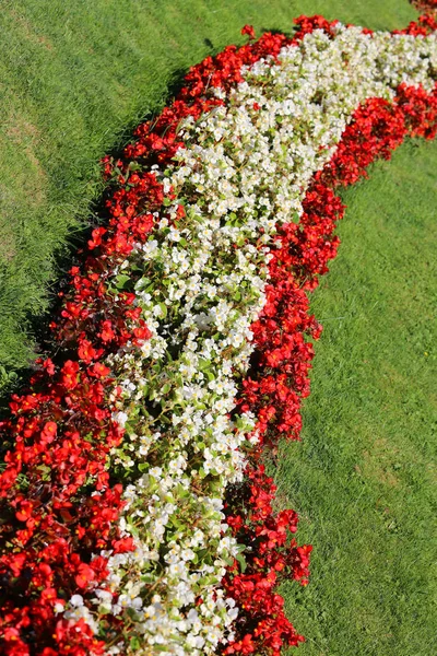 Virágágyások és jól gondozott a kertész, nyáron — Stock Fotó