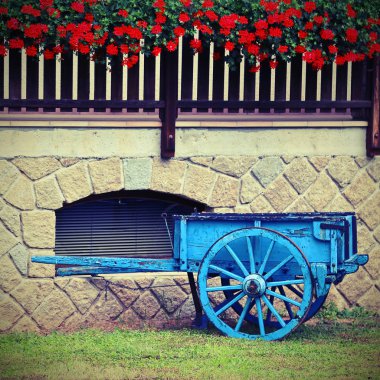 Sardunya ile ahşap sepeti