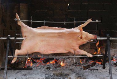 yavaş yavaş devasa tükürmek çelik aşçılar büyük domuz 