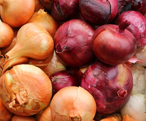 Fundo de cebolas vermelhas e amarelas maduras — Fotografia de Stock