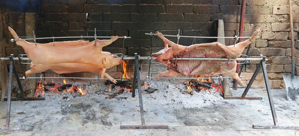 Two pigs that cook slowly on enormous steel spit in the gigantic — Stock Photo, Image