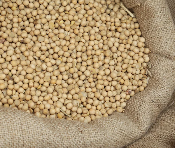 F soja madura para la venta en el mercado de cereales — Foto de Stock