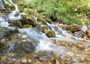 dağ dere çekimde görünüyor su ile zekâ fotoğrafı
