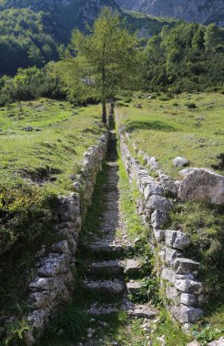 Birinci Dünya Savaşı s askerlerle tarafından yaptırılan eski siperlerde