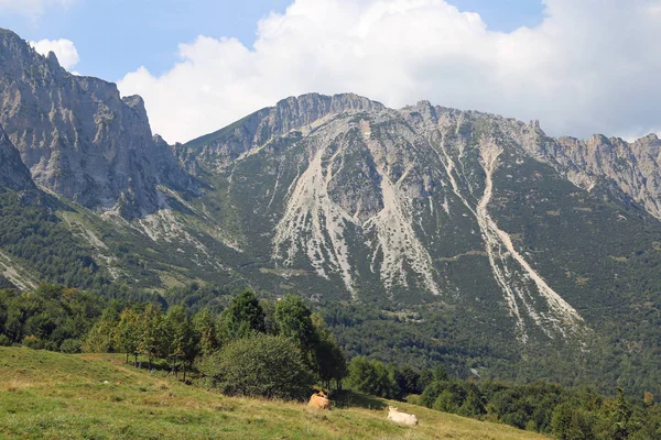 Fantastiskt landskap av italienska bergen kallas venetianska Alperna — Stockfoto