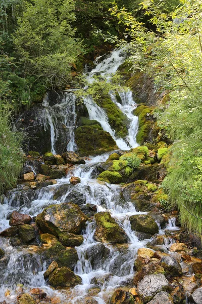 Torrente di montagna con acqua dolce sotto la foresta — Foto Stock
