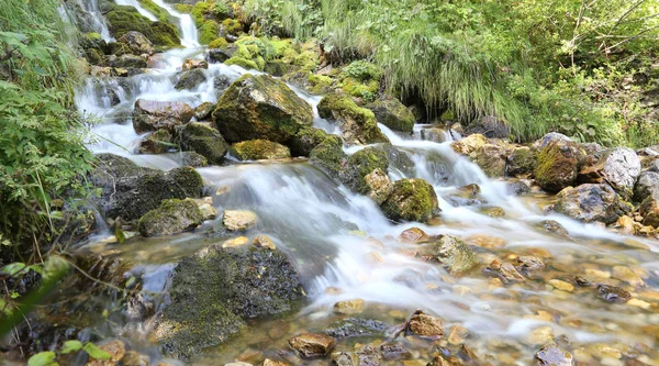 Arroyo de montaña con agua que parece en movimiento fotografiado ingenio —  Fotos de Stock