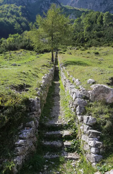 Birinci Dünya Savaşı s askerlerle tarafından yaptırılan eski siperlerde