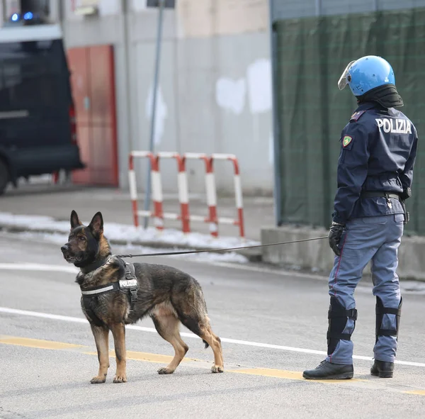Vicenza, Vi, Itálie - 28. ledna 2017: německý ovčák policie dělat — Stock fotografie