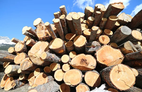 Big pile of logs Cut From lumberjacks — Stock Photo, Image