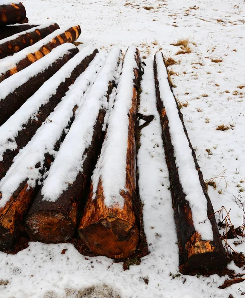 Holzscheite im Winter unter dem Schnee schneiden — Stockfoto