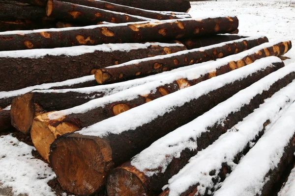 Viele Holzscheite im Winter unter dem Schnee — Stockfoto