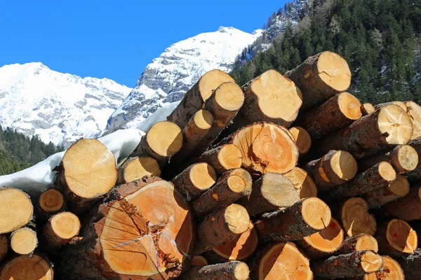 Velké kulatiny nařezané lesními dělníky v horách — Stock fotografie