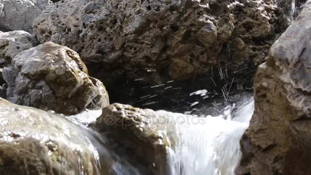 Świeżej wody przepływające pędzi przez skały mountain brook — Wideo stockowe
