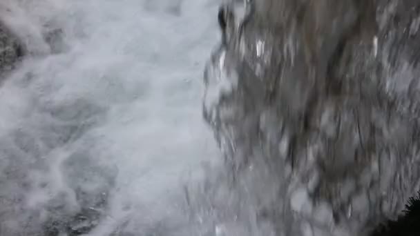 Água doce que cai da cachoeira — Vídeo de Stock