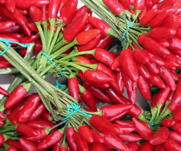 Pequenos buquês de pimentas quentes vermelhas à venda no greengrocer — Fotografia de Stock
