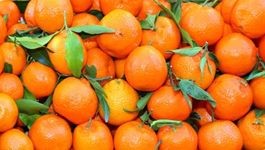 Organik mandalina ve turuncu clementines ile tedavi edilmezse zekâ soyma