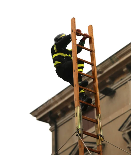 Pemadam kebakaran yang pemberani di atas tangga kayu yang tinggi selama penyelamatan — Stok Foto