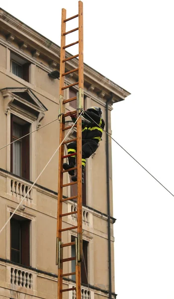 Bombeiro destemido sobre uma escada de madeira alta durante um rescu — Fotografia de Stock
