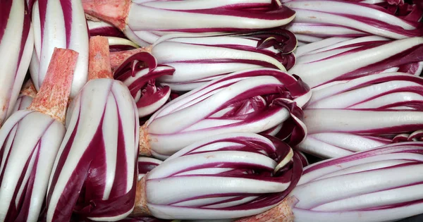 Achicoria roja llamada Radicchio Rosso di Treviso en Italia para la venta —  Fotos de Stock