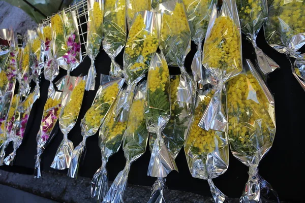 Mimosa gialla per tutte le donne durante la Festa della Donna — Foto Stock