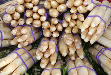 kuşkonmaz bakkal mağaza satış için