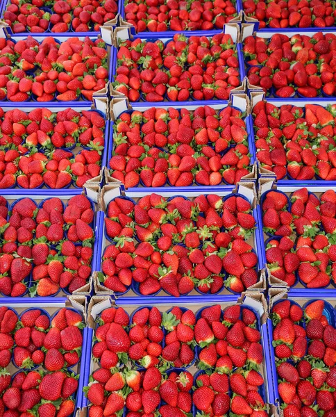 Červené zralé jahody v poli v prodeji s potravinami — Stock fotografie