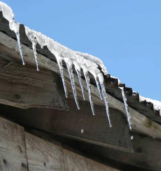 Ice icicles on the roof that melt in the sun in winter — Stock Photo, Image