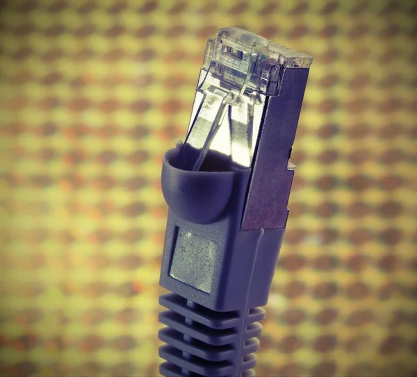 Conector de red RJ45 para conectar ordenadores a Internet — Foto de Stock