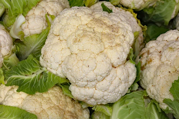 Large white cauliflower on sale in the grocery stall in winter — Stock Photo, Image