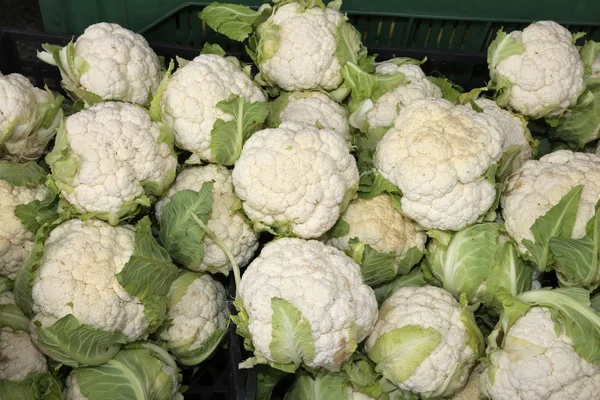 Muitas couve-flores brancas para venda em greengrocers stall — Fotografia de Stock